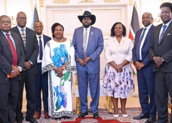 Uganda to develop 308km powerline to South Sudan