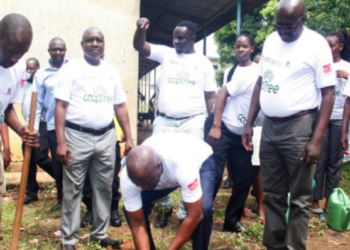 Govt to revive Cooperative bank