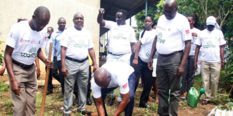 Govt to revive Cooperative bank