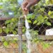 Water crisis hits Entebbe, Naguru hospitals over accumulated unpaid bills