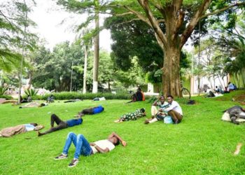 Nearly half of Ugandans in informal sector earn less than Shs168,000