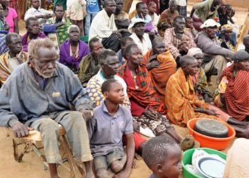 Uganda gets Shs40bn to fight food insecurity