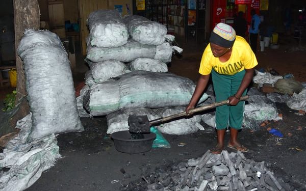 Charcoal ban enforcement to push prices higher – NFA