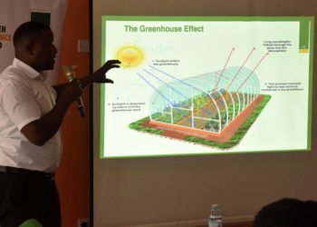 Green financing: Advocates call for comprehensive loan products