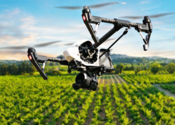 Overcome digital divide to enable inclusive agricultural transformation – Advocates