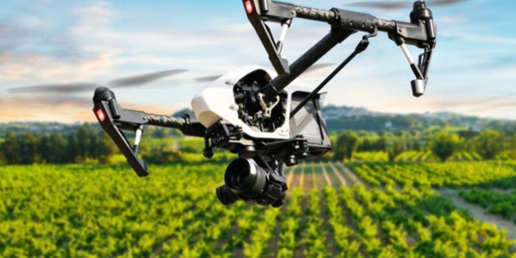 Overcome digital divide to enable inclusive agricultural transformation – Advocates