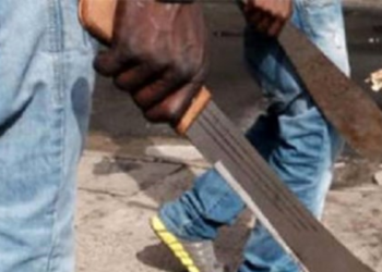 Armed robbers raid Budaka agro processing plant