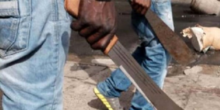 Armed robbers raid Budaka agro processing plant