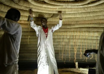 UNESCO backs removal of Uganda tombs from endangered list