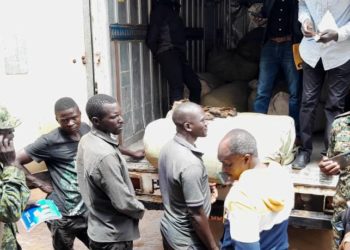 Army impounds immature fish worth Shs60m
