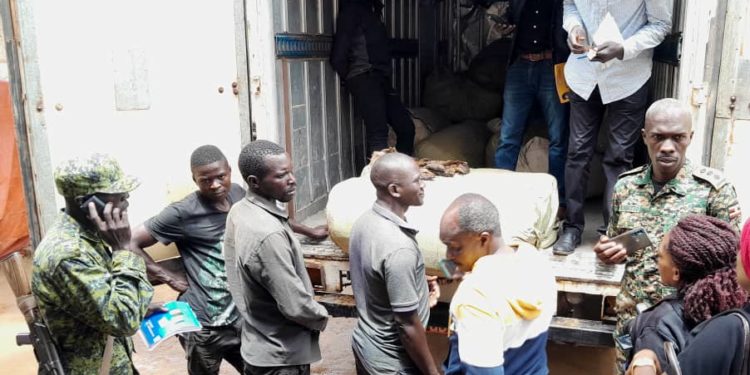 Army impounds immature fish worth Shs60m