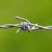 Local manufacturers call for ban on barbed wire imports