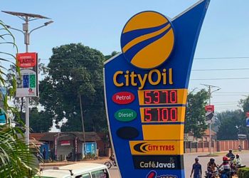 Govt asked to temporarily suspend taxes on fuel to curb prices