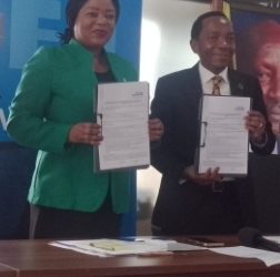 UN Women, CEO Summit in partnership to promote gender equality