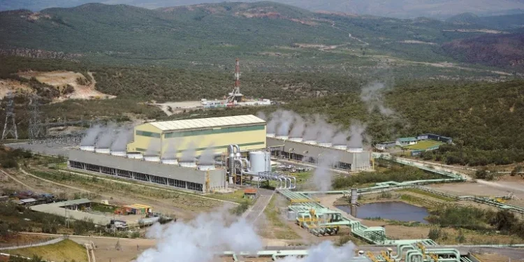 African leaders seek united front to press green growth goals