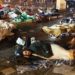 Morocco earthquake kills more than 800 people