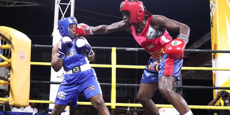 Six boxers fly to Dakar for Olympic trials