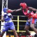 Six boxers fly to Dakar for Olympic trials