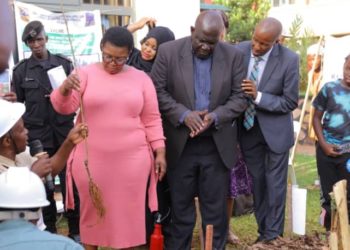Experts urge farmers to embrace one-acre model farming