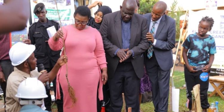 Experts urge farmers to embrace one-acre model farming