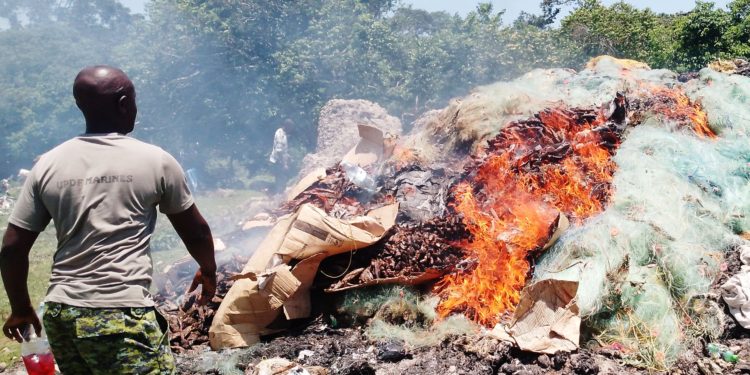 FPU destroys immature fish worth over a billion shillings in Masaka