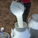 Govt asked to address low pricing for Uganda’s dairy exports