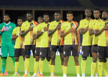 Fitting tests for Cranes ahead of World Cup safari