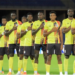 Fitting tests for Cranes ahead of World Cup safari