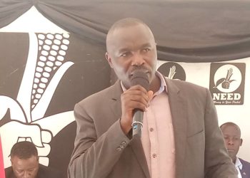 NEED asks protesting MPs to press on