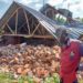 Angry mob displaces residents over alleged theft in Bukedea
