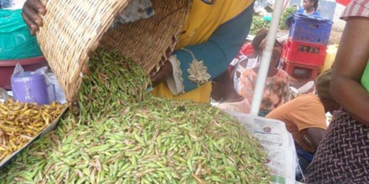 Grasshoppers from Ebola-affected districts are safe to eat – MoH