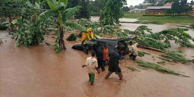 Activists want Uganda’s governance issues highlighted at COP28