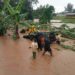 Activists want Uganda’s governance issues highlighted at COP28 