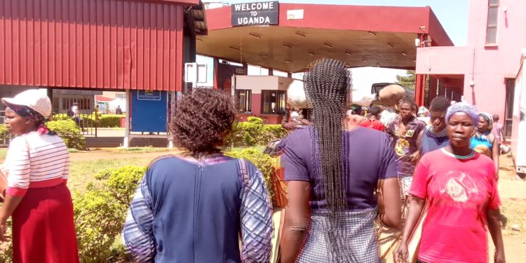 Falling Kenya shilling forces Ugandans to shop across border ahead of Christmas