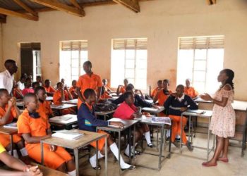 UPC calls for more seed schools