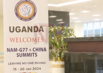NAM summit: Palestine question, poverty eradication to top agenda