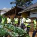 NAM summit: Agro-tourism players accuse govt of sidelining them