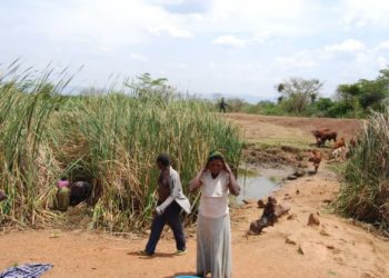 UNMA predicts dry spell across Uganda, some rain in western region