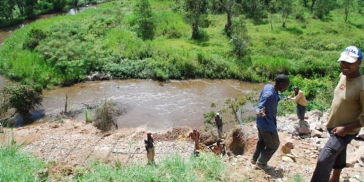 Rotary partners with UNEP to safeguard global freshwater ecosystems