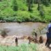 Rotary partners with UNEP to safeguard global freshwater ecosystems