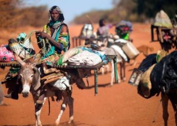 Clashes in disputed Sudanese Abyei region claim 54 lives