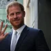 Prince Harry says family could reunite over king’s illness