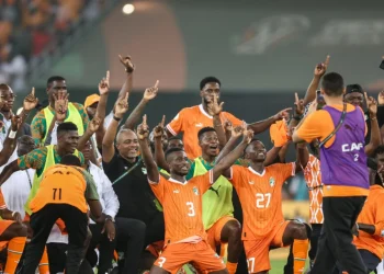 Ivory Coast run to AFCON final ‘like a dream’ for coach Fae