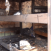 Seven arrested after fire guts another Busia school dormitory