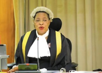 Parliament worried over Pamoja Bid