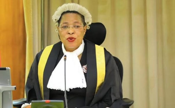 Parliament worried over Pamoja Bid