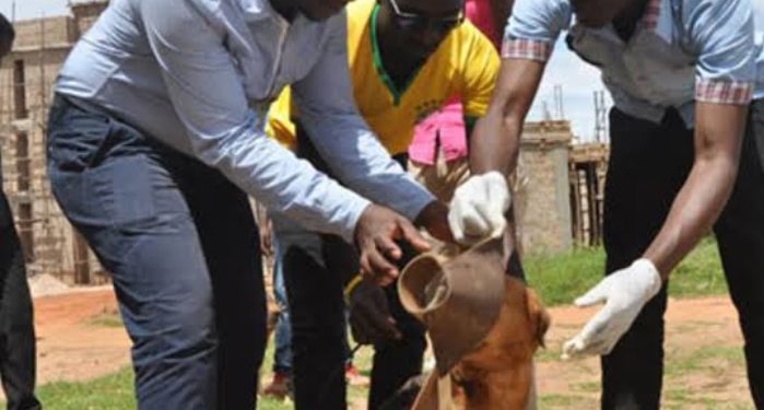 Namutumba enumerator appeals for help after dog bite