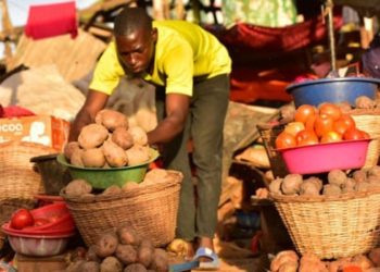 Economic expert advises against dodging census