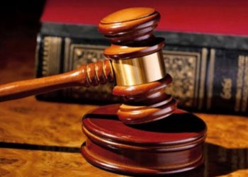 Female lawyers advocate for legal provisions for posthumous reproduction