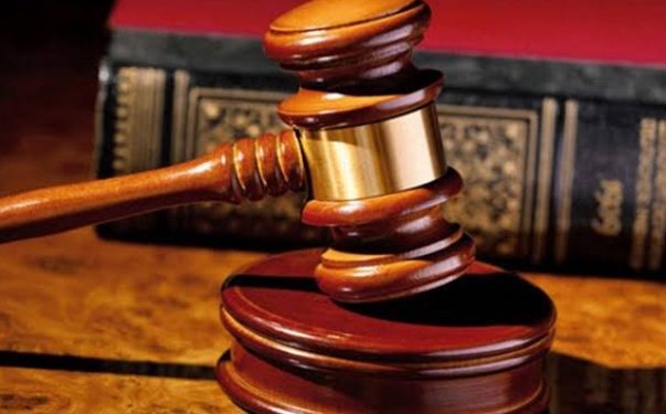 Female lawyers advocate for legal provisions for posthumous reproduction